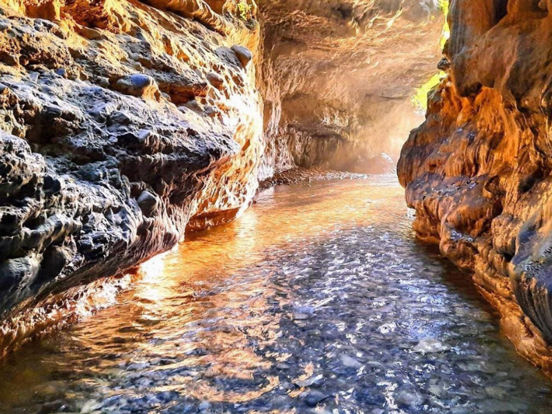 GUCCHUPANI ROBERS CAVE